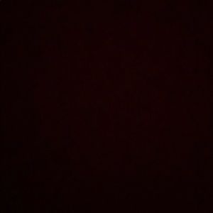 Meet your Posher, Jocelyn